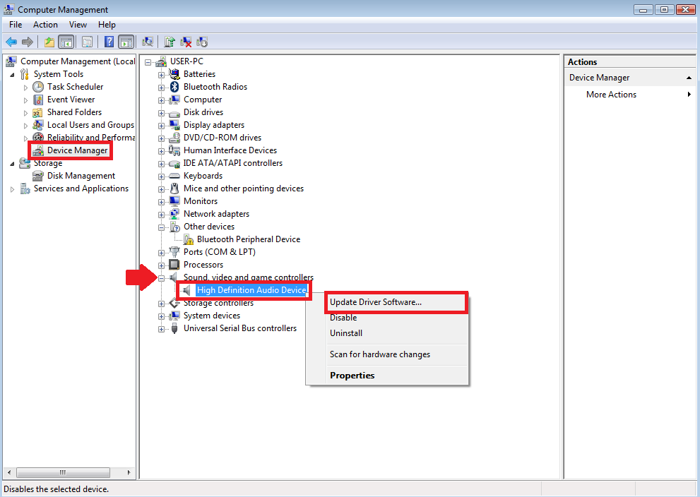 The Update Driver Software button